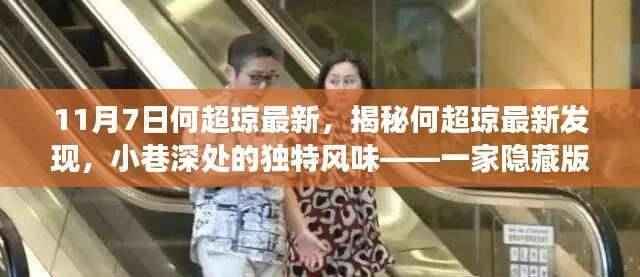 揭秘何超琼最新发现，小巷深处的隐藏版特色小店故事，独特风味令人难忘