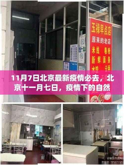 北京疫情下的自然秘境探索之旅,寻找内心的宁静港湾(11月7日最新疫情必去)