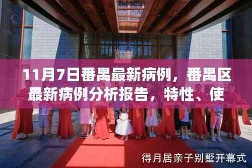 番禺区最新病例分析报告,特性、用户体验与目标用户洞察(11月7日更新)