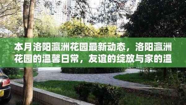 洛阳瀛洲花园本月动态,友谊与家的温馨日常