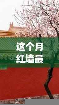 红墙新境探索之旅,自然美景与内心宁静的追寻