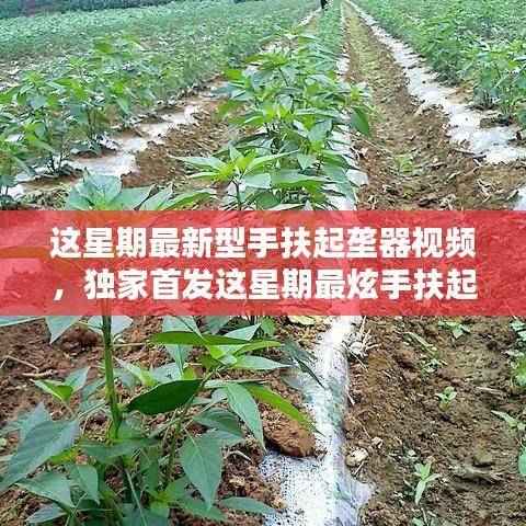 独家首发,最新手扶起垄器视频与操作指南,带你领略极致操作体验