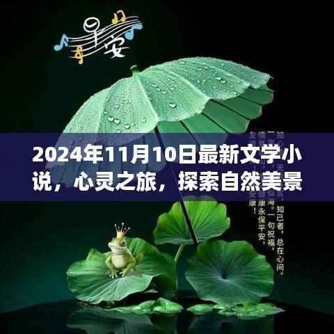 心灵之旅,探索自然美景的文学之旅——新篇章开启