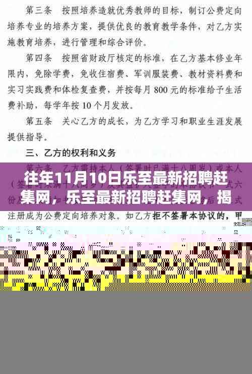 揭秘乐至最新招聘赶集网,往年11月10日求职盛宴盛况空前!