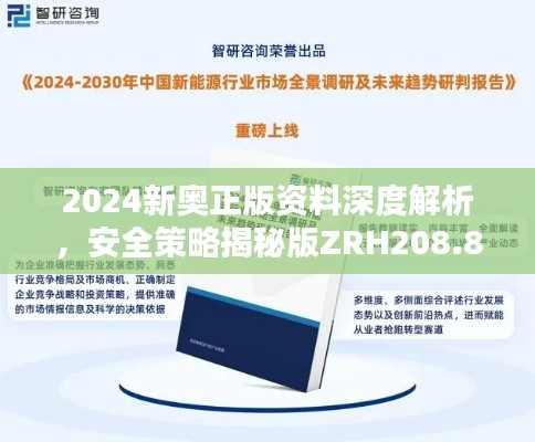 2024新奥正版资料深度解析,安全策略揭秘版ZRH208.83