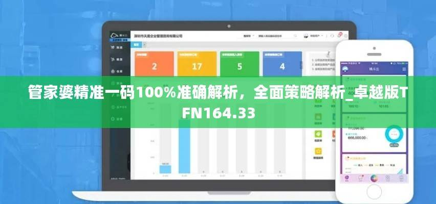 管家婆精准一码100%准确解析,全面策略解析_卓越版TFN164.33