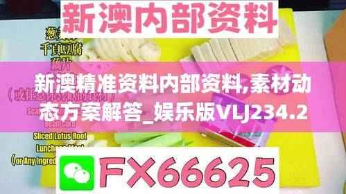 新澳精准资料内部资料,素材动态方案解答_娱乐版VLJ234.21
