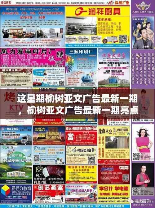 榆树亚文广告最新一期亮点解析揭秘