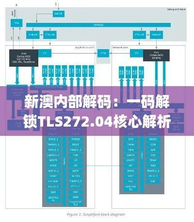 新澳内部解码:一码解锁TLS272.04核心解析_白银版揭秘