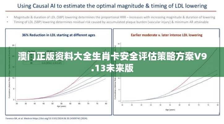 澳门正版资料大全生肖卡安全评估策略方案V9.13未来版
