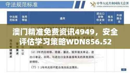澳门精准免费资讯4949,安全评估学习策略WDN856.52