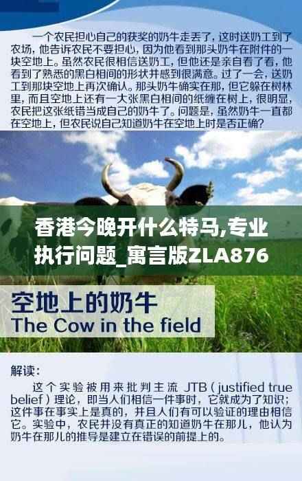 香港今晚开什么特马,专业执行问题_寓言版ZLA876.52