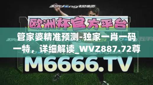 管家婆精准预测-独家一肖一码一特,详细解读_WVZ887.72尊享版