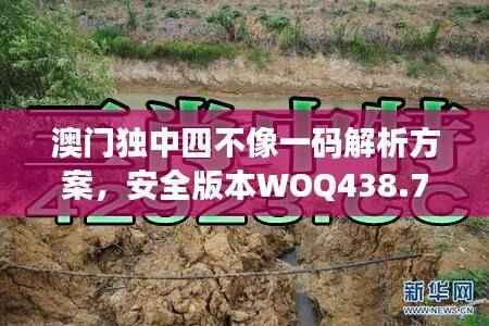 澳门独中四不像一码解析方案，安全版本WOQ438.78更新