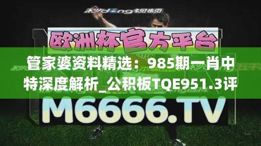 管家婆资料精选:985期一肖中特深度解析_公积板TQE951.3评测