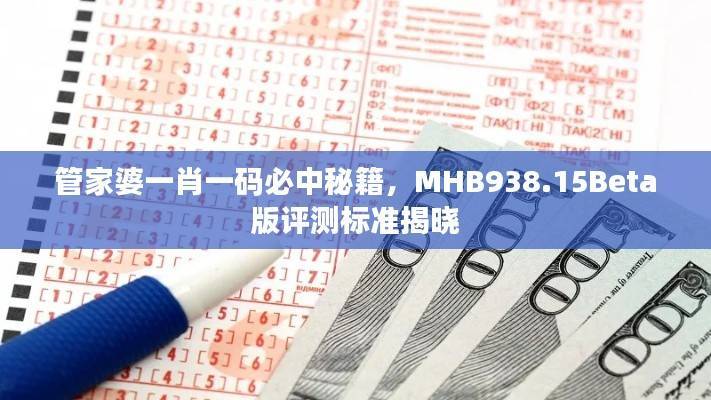 管家婆一肖一码必中秘籍,MHB938.15Beta版评测标准揭晓