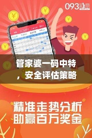 管家婆一码中特,安全评估策略_副本版UHO864.73