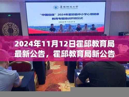 霍邱教育局最新公告揭秘,小巷深处的独特风味探索之旅