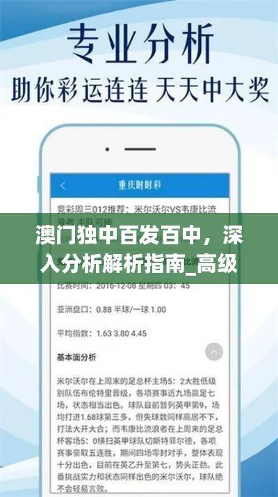 澳门独中百发百中,深入分析解析指南_高级版VLK647.14
