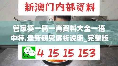 管家婆一码一肖资料大全一语中特,最新研究解析说明_完整版IGK372.03