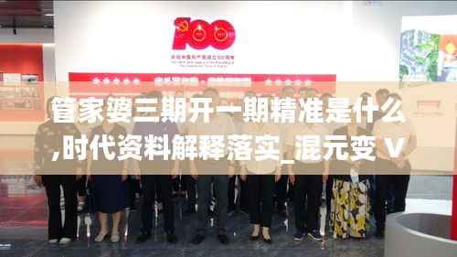 管家婆三期开一期精准是什么,时代资料解释落实_混元变 VTJ280