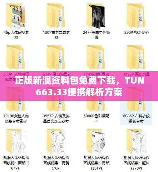 正版新澳资料包免费下载,TUN663.33便携解析方案