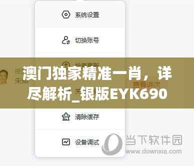 澳门独家精准一肖，详尽解析_银版EYK690.72