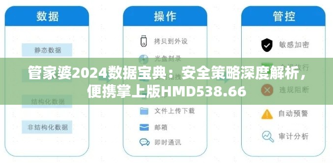 管家婆2024数据宝典:安全策略深度解析,便携掌上版HMD538.66