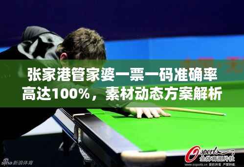 张家港管家婆一票一码准确率高达100%,素材动态方案解析——KHG125.59开放版