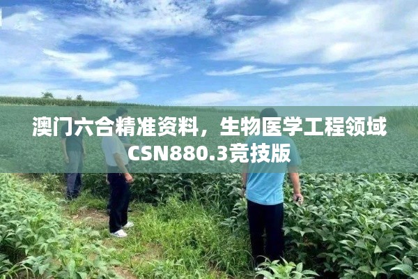 澳门六合精准资料,生物医学工程领域CSN880.3竞技版