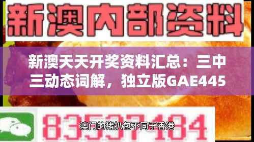 新澳天天开奖资料汇总:三中三动态词解,独立版GAE445.54