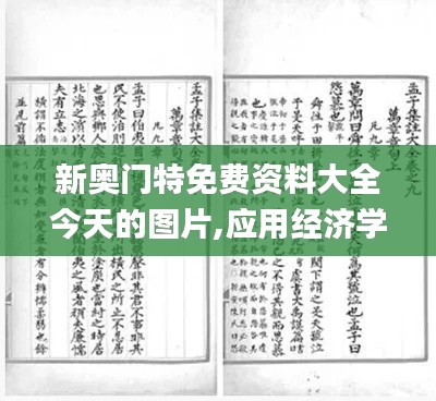 新奥门特免费资料大全今天的图片,应用经济学_洞玄XWV6.57