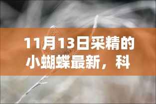 科技新星闪耀,小蝴蝶最新款采精器——未来生活的科技魔法探索