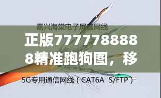 正版7777788888精准跑狗图,移动版VDE190.29安全解析策略