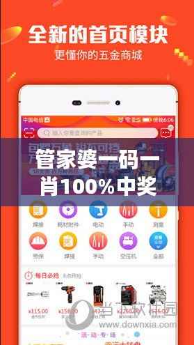 管家婆一码一肖100%中奖青岛详解,专家版KOD839.98深度解析