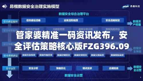 管家婆精准一码资讯发布,安全评估策略核心版FZG396.09解读
