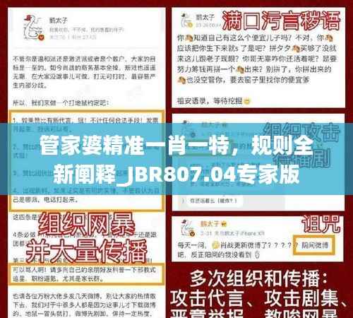 管家婆精准一肖一特,规则全新阐释_JBR807.04专家版