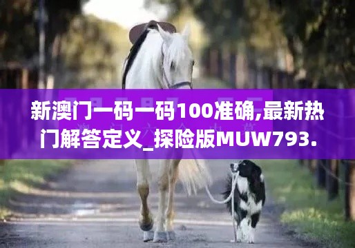 新澳门一码一码100准确,最新热门解答定义_探险版MUW793.9