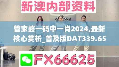 管家婆一码中一肖2024,最新核心赏析_普及版DAT339.65