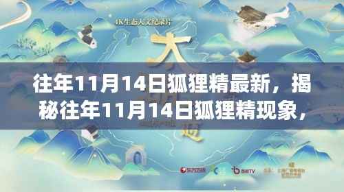 揭秘11月14日狐狸精现象,文化、生态与科技的交织影响探讨