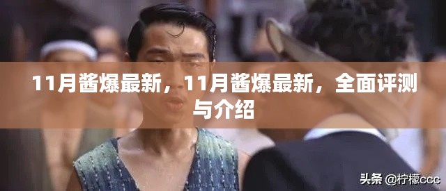 最新评测与介绍,全面解析11月酱爆