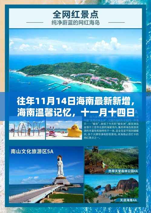 海南历年11月14日最新动态,温馨记忆里的特别日子