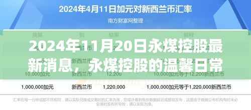 永煤控股的最新动态,温馨日常与奇遇的情感纽带纪事(2024年11月20日)