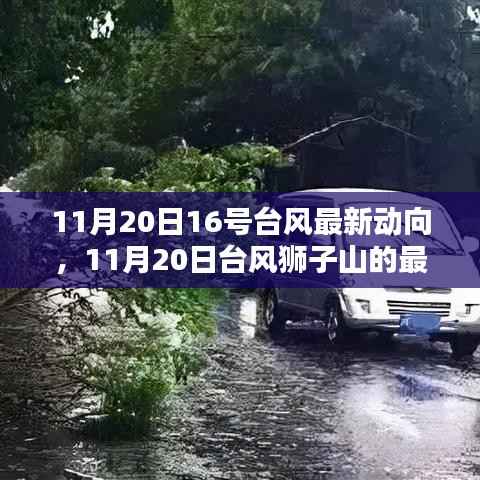 11月20日台风狮子山最新动向,影响与地位揭秘
