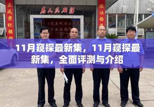 11月最新集全面评测与介绍