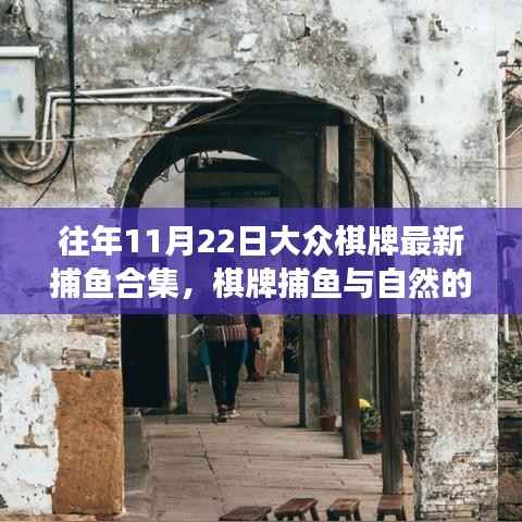 往年11月22日大众棋牌捕鱼合集,与自然共舞,探寻内心平静的奇妙之旅