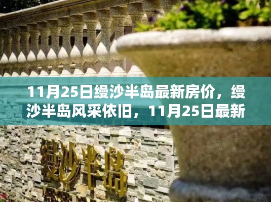 缦沙半岛风采依旧,最新房价揭晓,11月25日房价动态