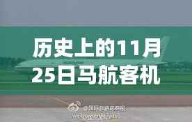 探寻马航客机传奇背后的自然美景之旅,启程寻找内心的宁静与奇迹——历史上的11月25日最新消息