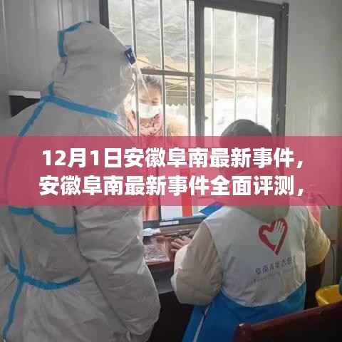 安徽阜南最新事件深度解析,特性、使用体验与目标用户群体全面评测