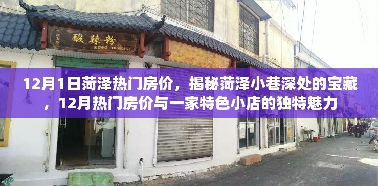 揭秘菏泽小巷宝藏与热门房价揭秘,特色小店独特魅力展露风采